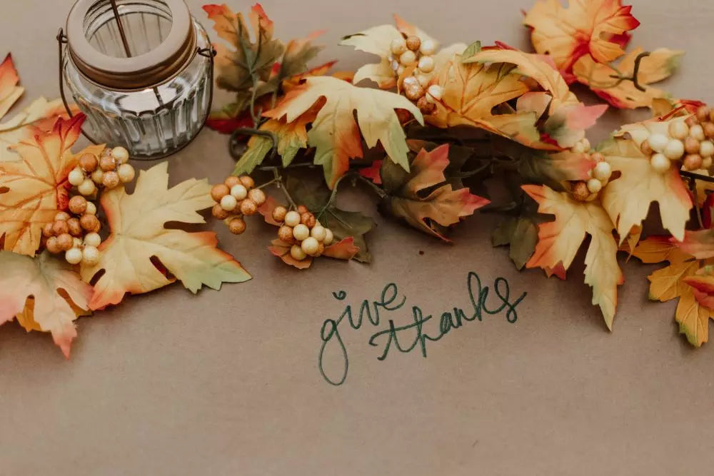 DIY Tutorial – Festive Thanksgiving Decorative Pillow
