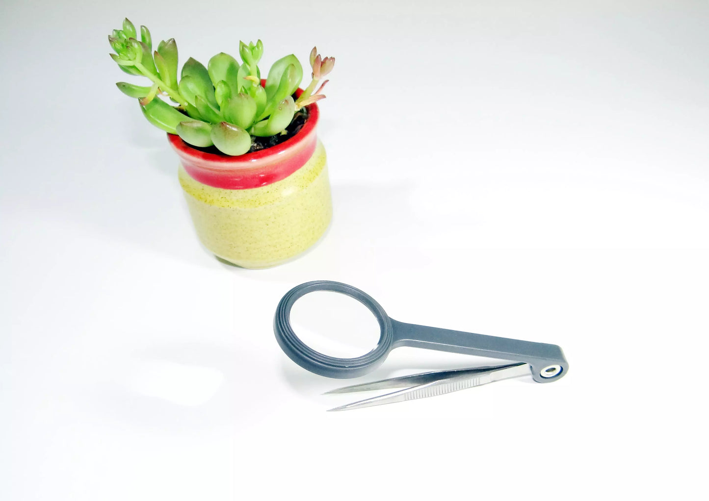 4.5x Magnifier with Attached Precision Tweezers